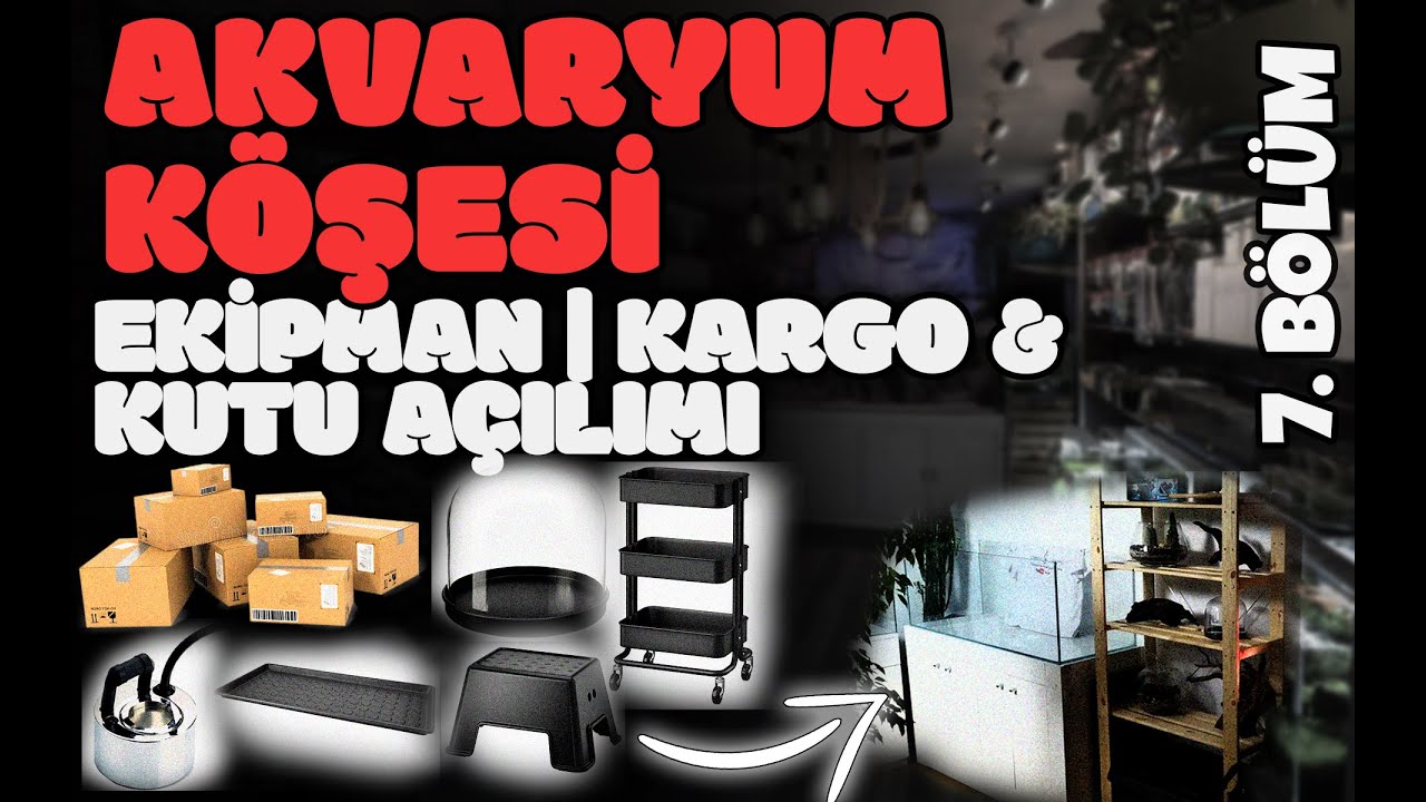 Akvaryum Köşesi Ekipmanları Kutu Açılımı | AKK - 7. Bölüm
