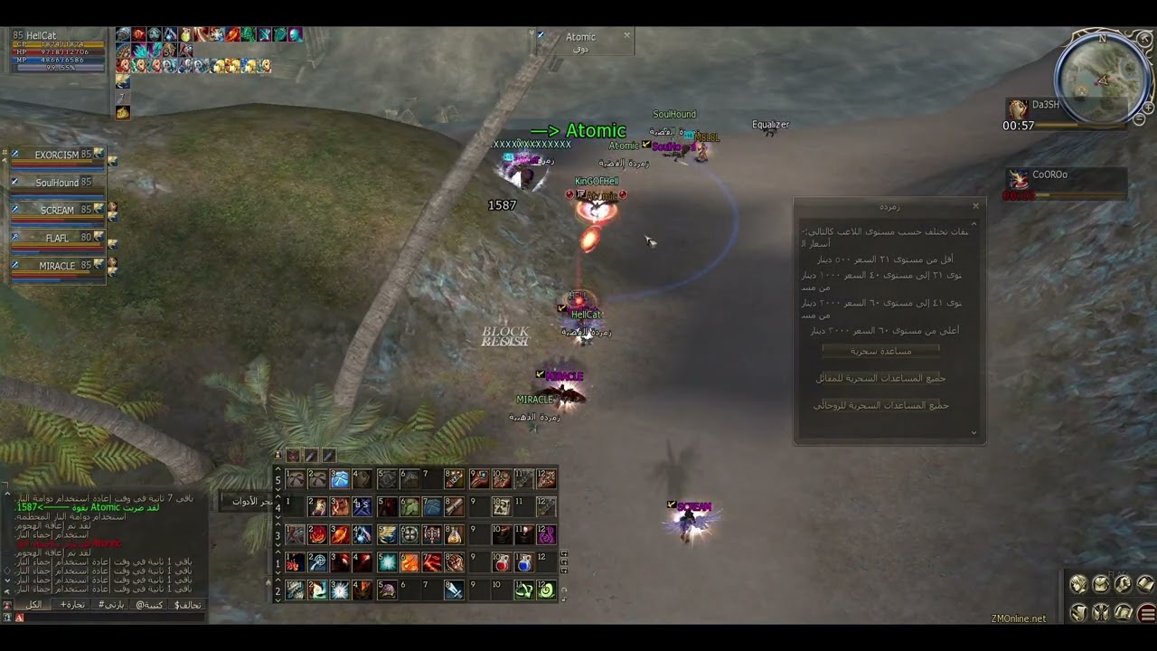 Lineage2: Mage party vs Randoms