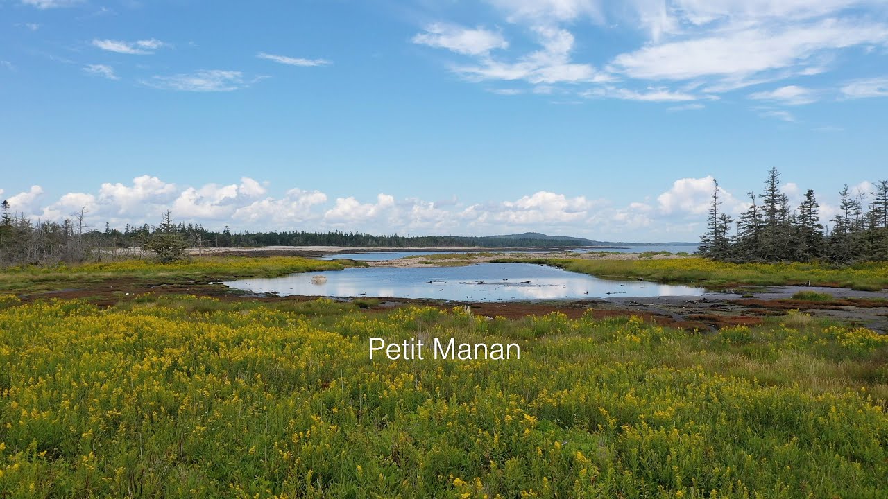 Petit Manan 91321