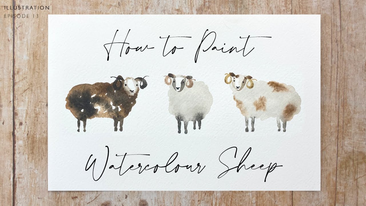 How to Paint Watercolour Sheep