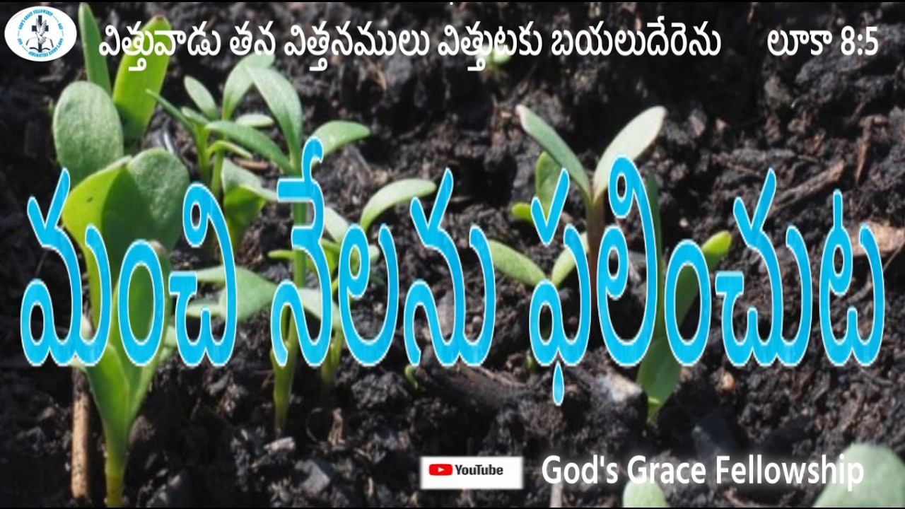 మంచి నేలను ఫలించుట
