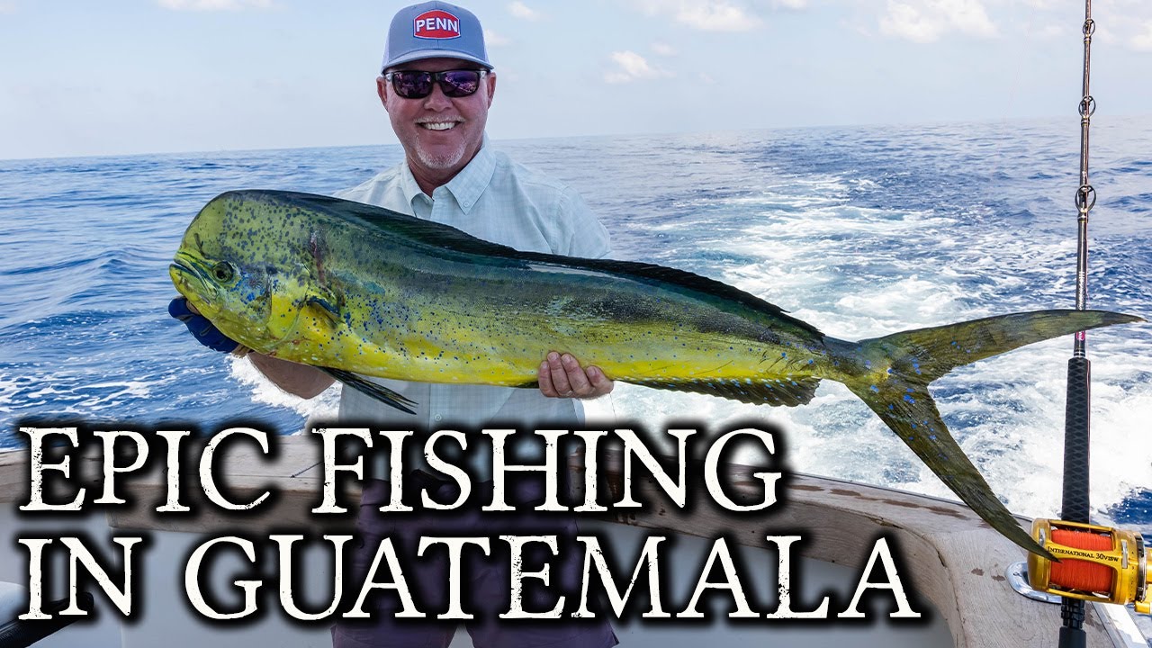 Catching SAILFISH and MAHI in GUATEMALA