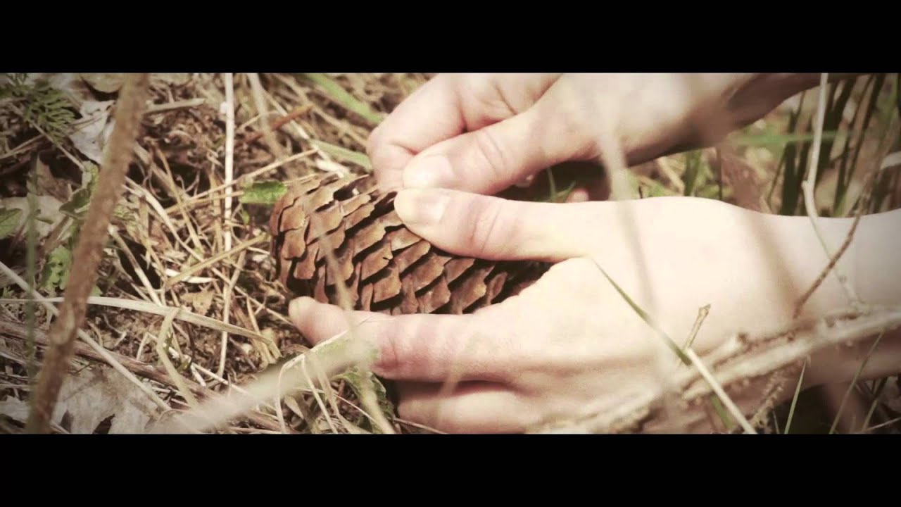 Viitasen Piia - Nuku, oi, nuku