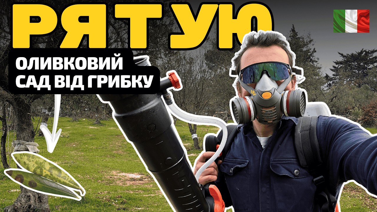 Грибок атакує оливкові сади: чи всигну врятувати дерева? STIHL SR450, біозахист. Готую барбекю Weber