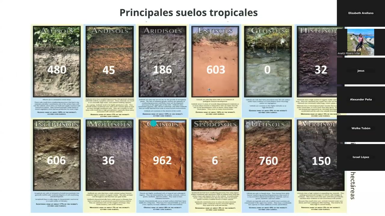 Propiedades y procesos biogeoquímicos de los suelos en bosques tropicales secos