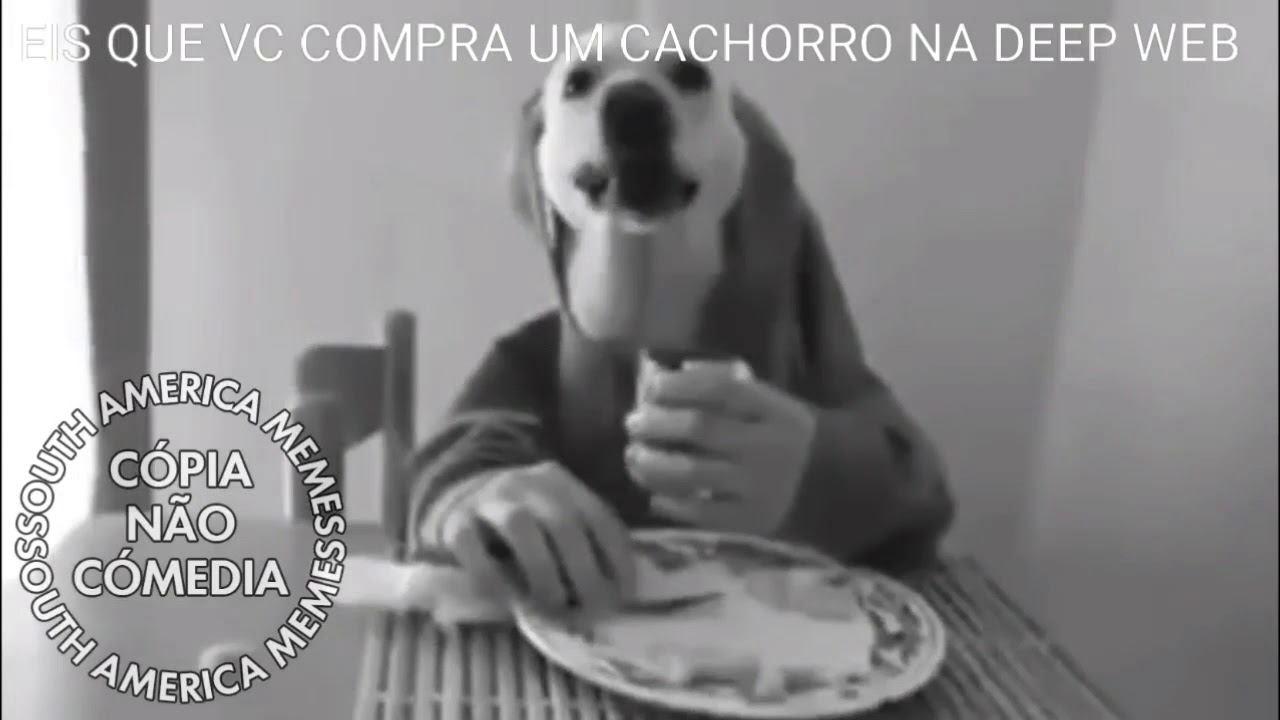 MELHORES MEMES DA DEEP WEB (SOUTH AMERICA MEMES)