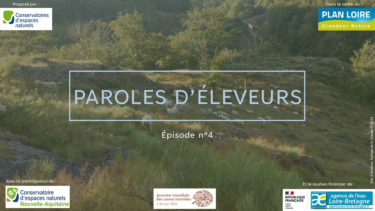 Paroles d'éleveurs - Épisode 4 : Élevage en zones humides, viable ou pas en landes humides ?