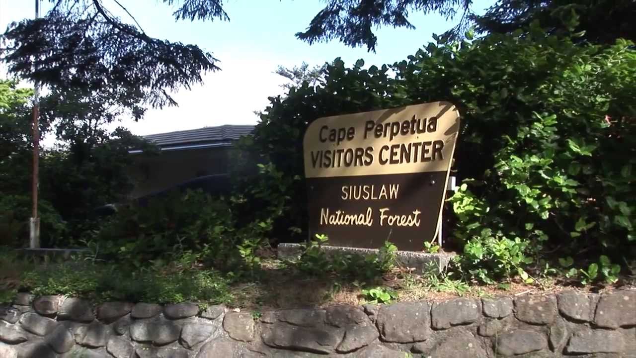 Accessible Adventures: Oregon Where the Forest meets the Sea
