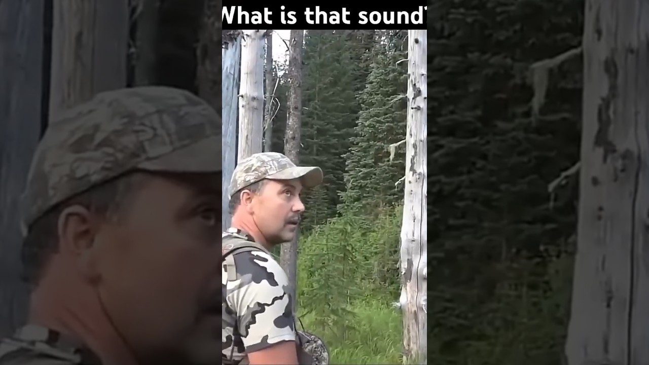 Жуткие звуки в лесах Айдахо.. @Stuckntherut1 #страшно