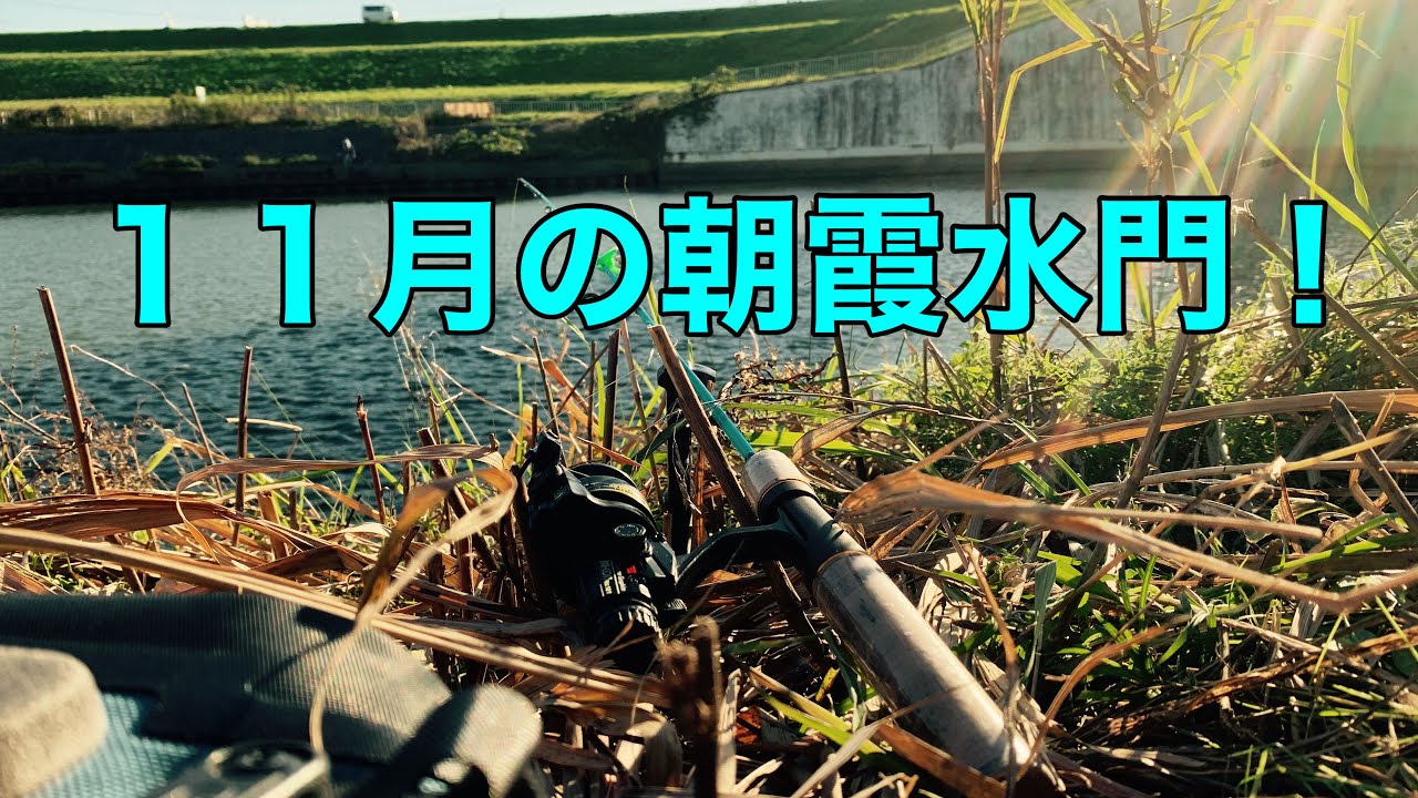 ＃１３５　鱒レンジャー持って朝霞水門に行きました。