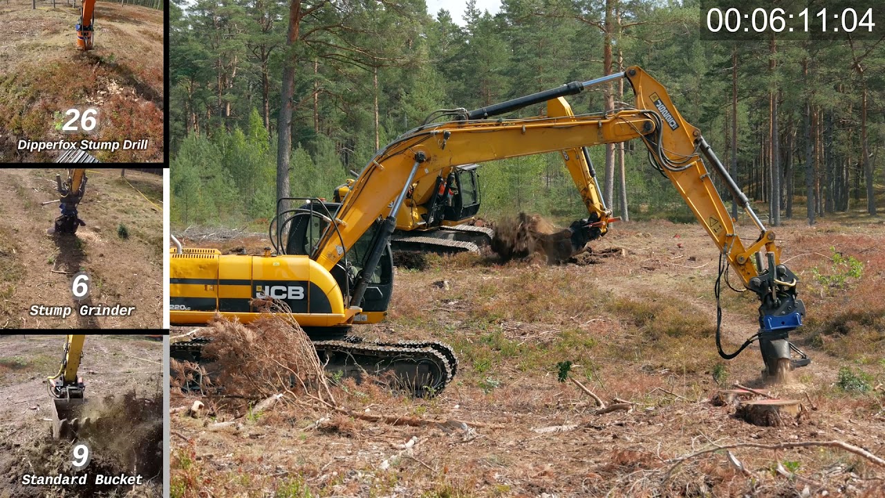 Stump combat