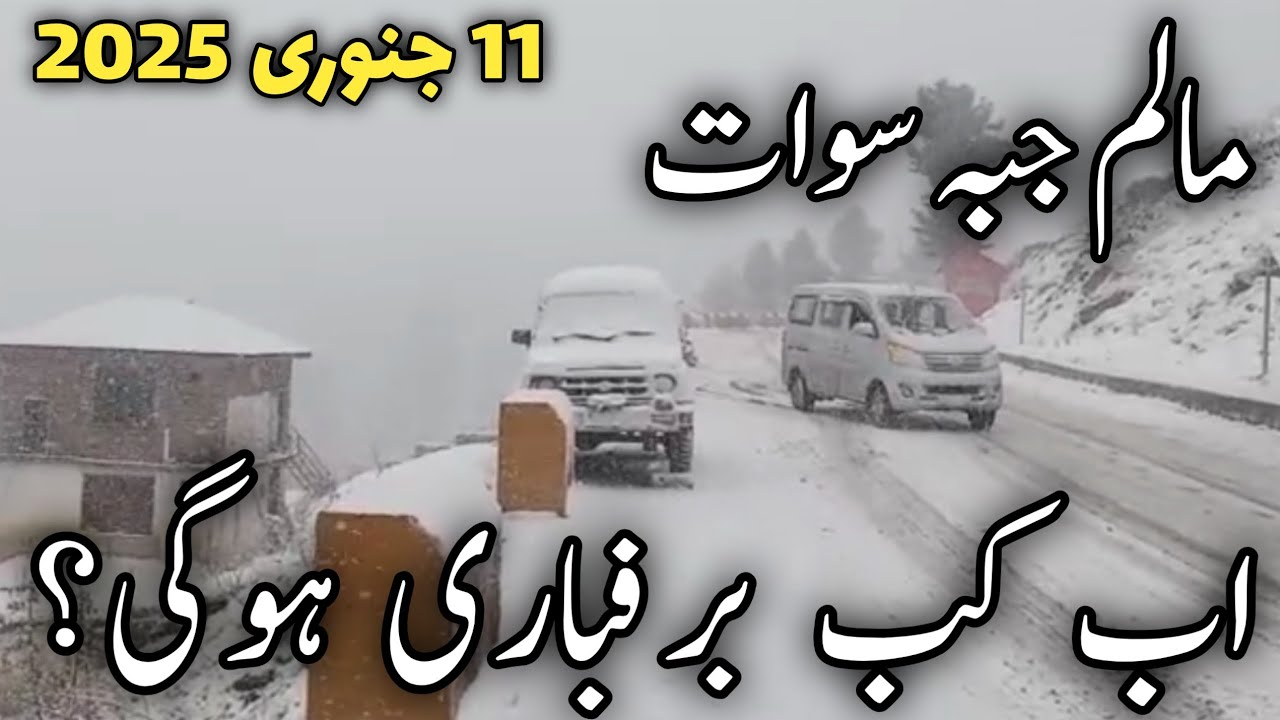 #swat Kalam live today | malamjaba snowfall today | #snow in malamjaba | malam jabba swat snowfall