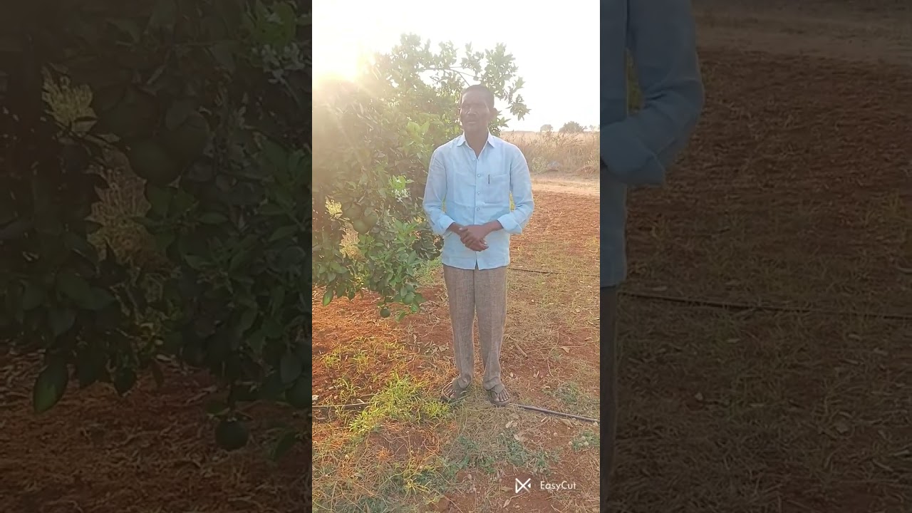 ONBA పదాతి పాటిస్తే రిజల్ట్ మనకు అన్నుకూలంగా వస్తుంది...|Tera | flora | laura. 