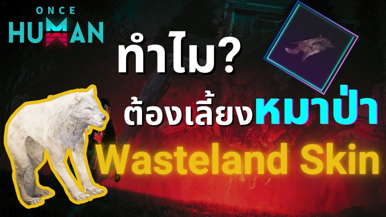 ทำไมต้องเลี้ยงหมาป่า? เผยความลับ Wasteland ที่คุณต้องรู้! | Once Human