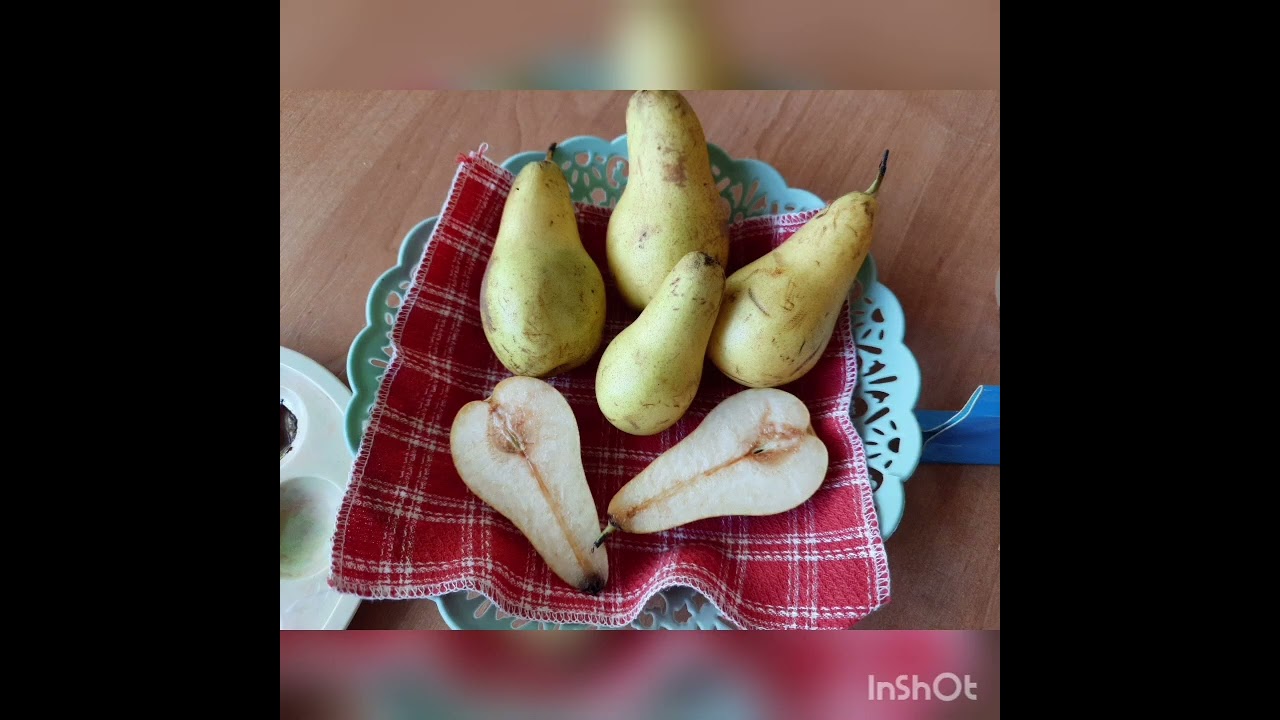 Малювання штампами молодша група 