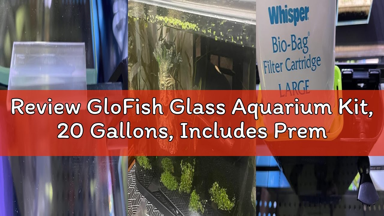Review GloFish Glass Aquarium Kit, 20 Gallons, Includes Premium Blue, LED Light Stick & Integrated F