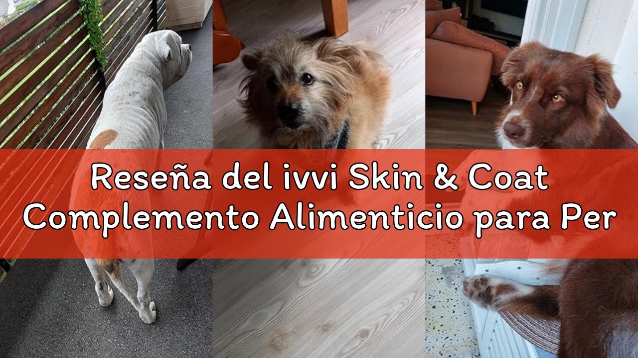 Reseña del ivvi Skin & Coat Complemento Alimenticio para Perros, Anti-Picor, Pelaje Suave y Brillant
