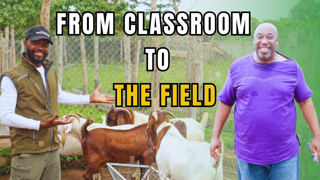 THIS IS WHY AN AMERICAN TEACHER PLANS TO RETIRE AS A LIVESTOCK FARMER IN GHANA