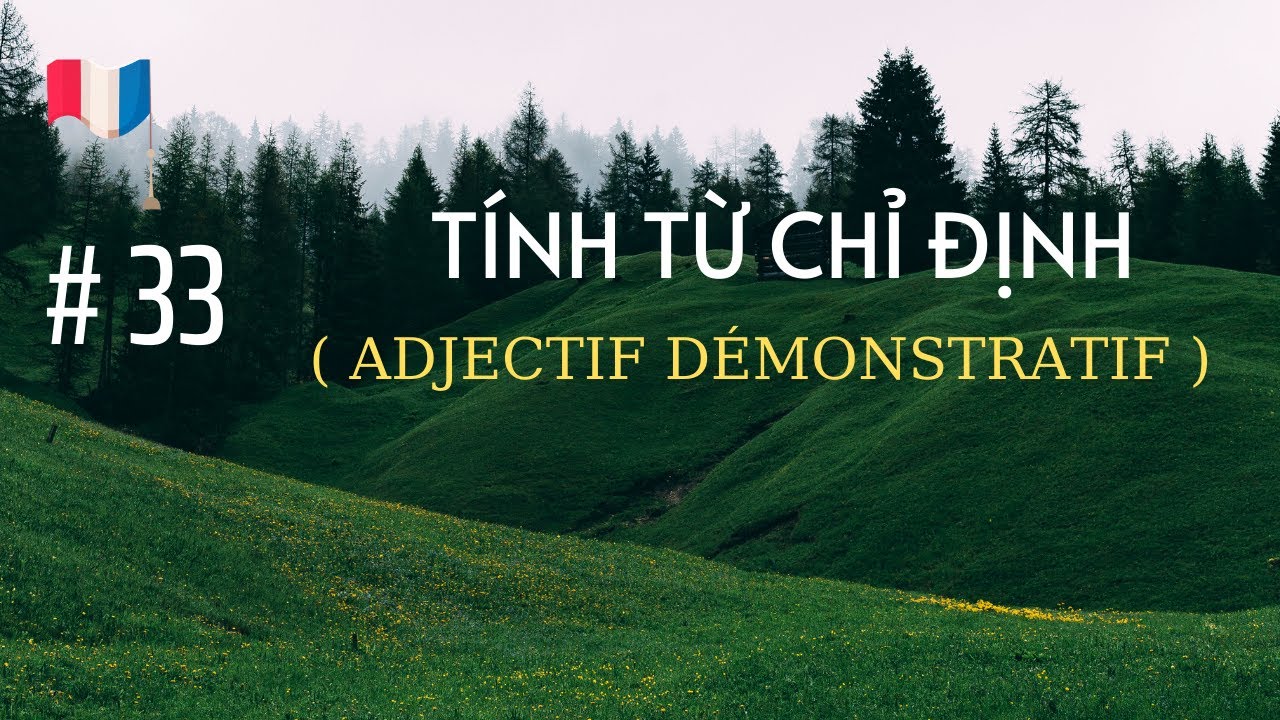 # 33 - Tính từ chỉ định ( ADJECTIF  DÉMONSTRATIF )