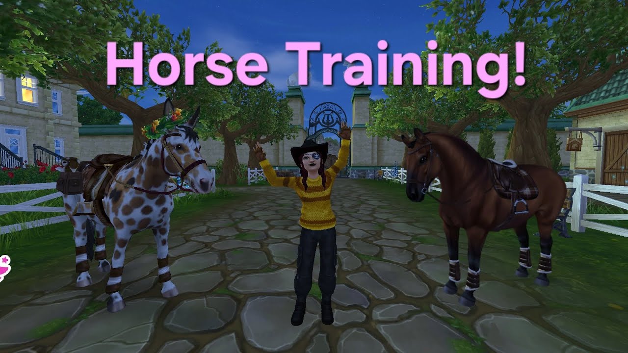 SSO Horse Training