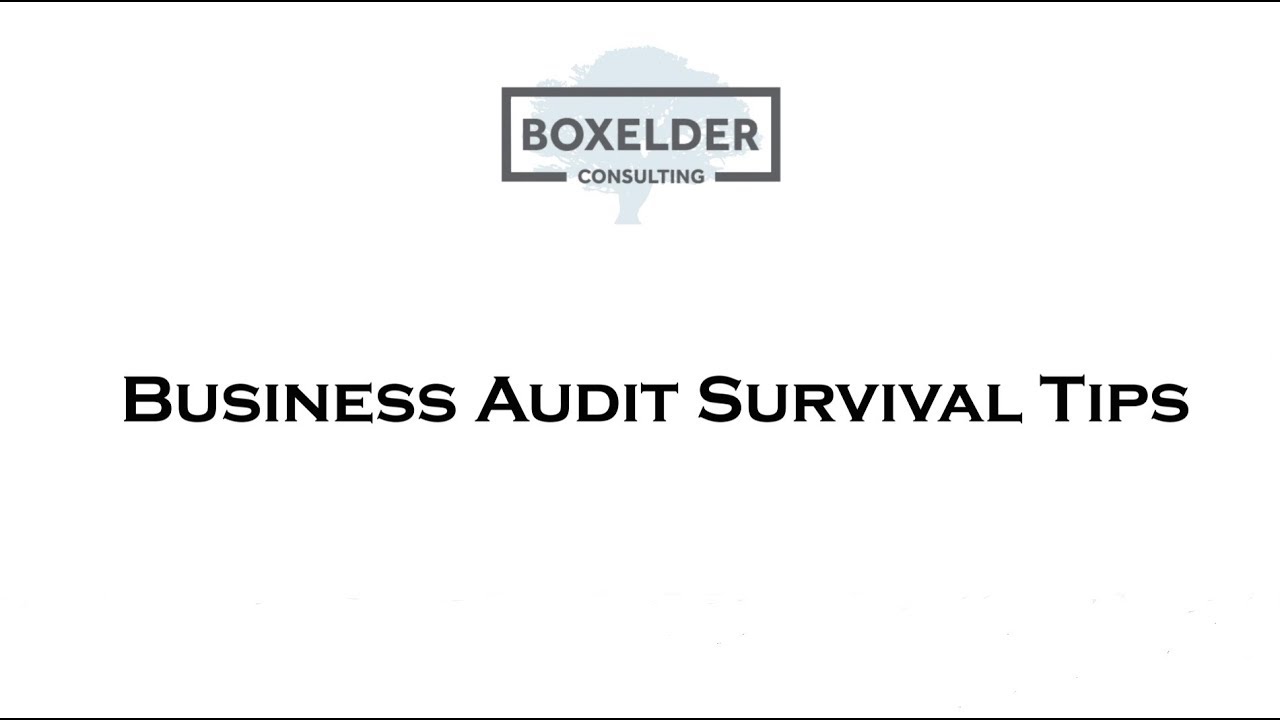 How to Survive an IRS Audit of your Business