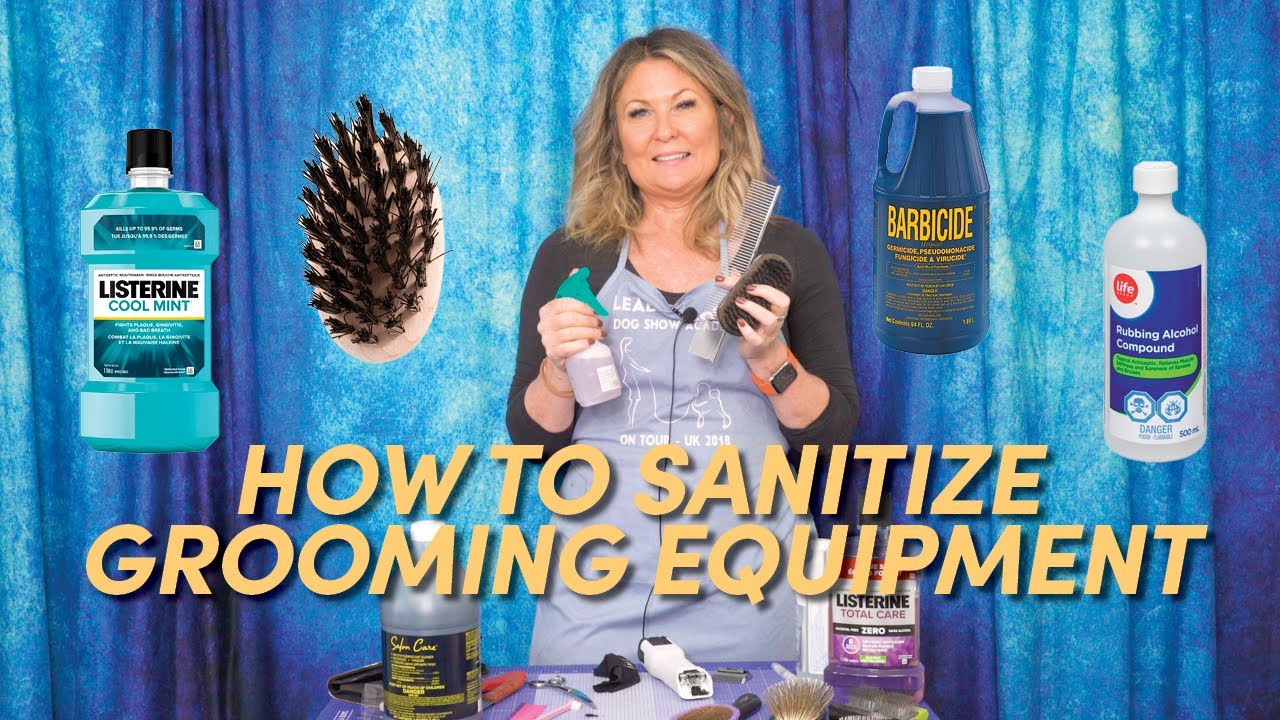 How to Sanitize Grooming Equipment