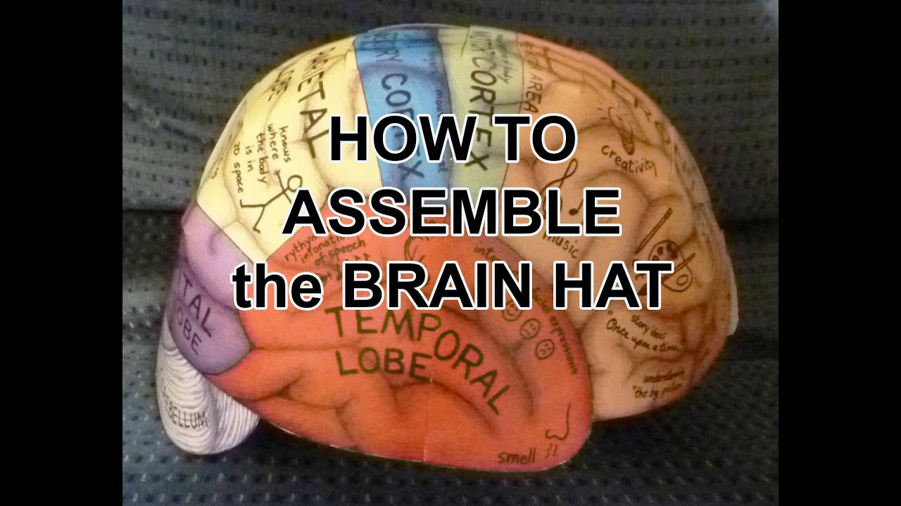 How to assemble the Brain Hemisphere Hat