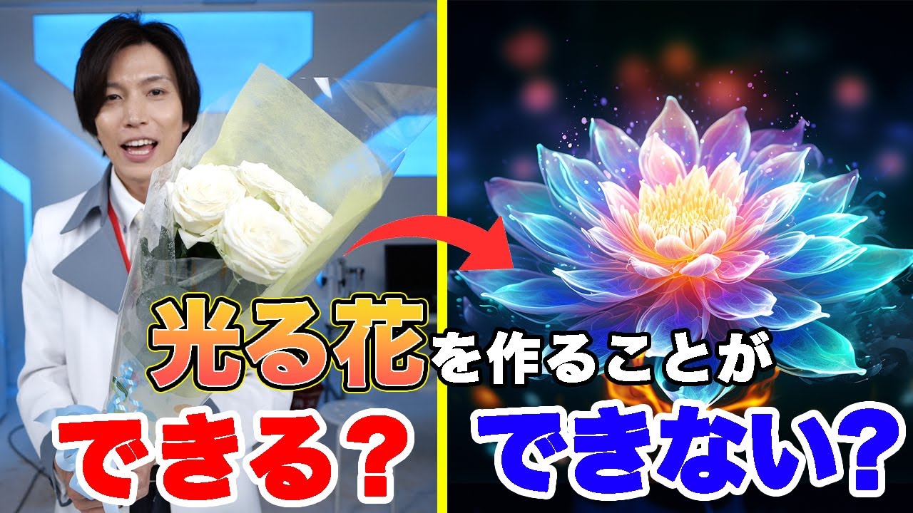 綺麗過ぎる！？光る花は作ることできる？【クイズ】