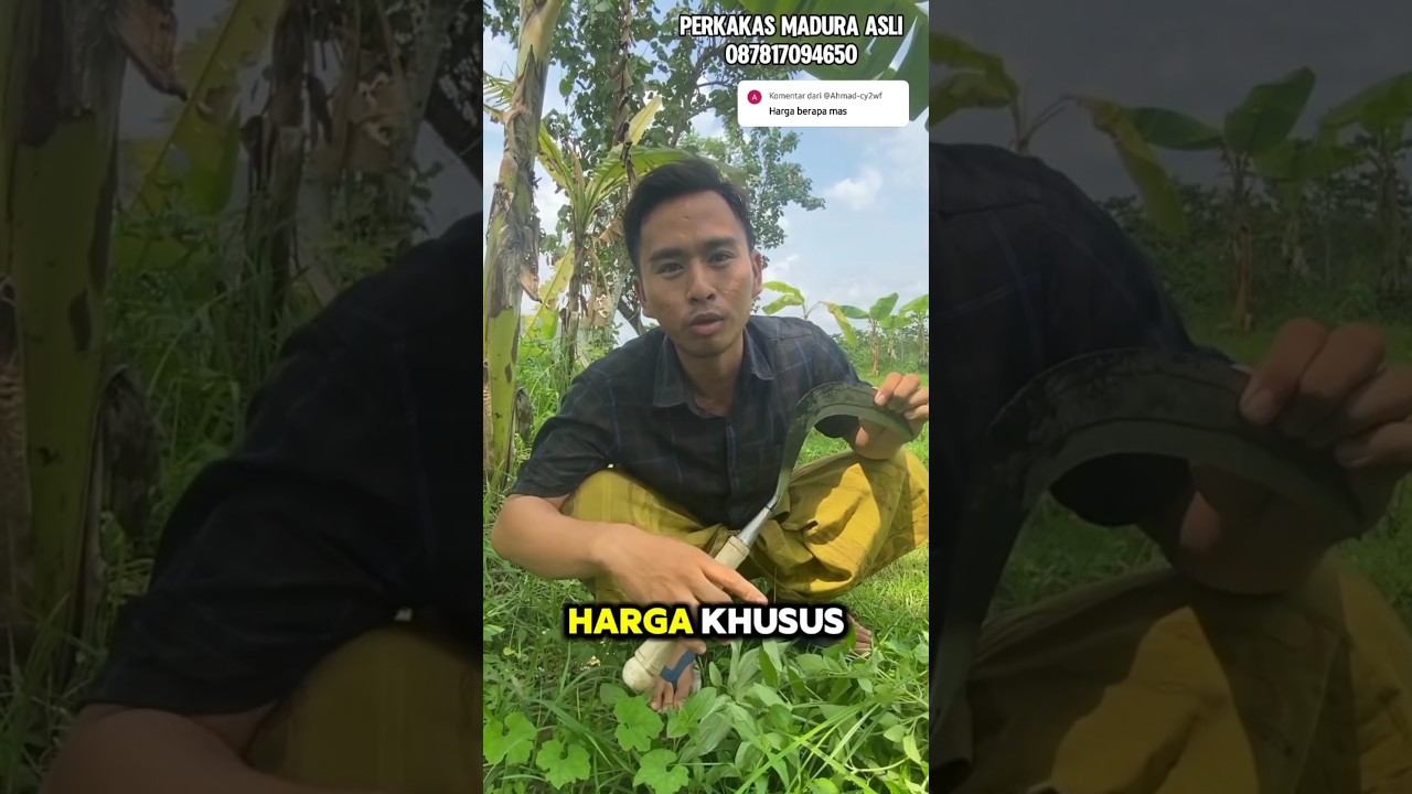 HARGA KHUSUS SUBSCRIBER ARIT BAJA ISEN SUPER TAJAM #shorts #yearsofyou #perkakasmaduraasli