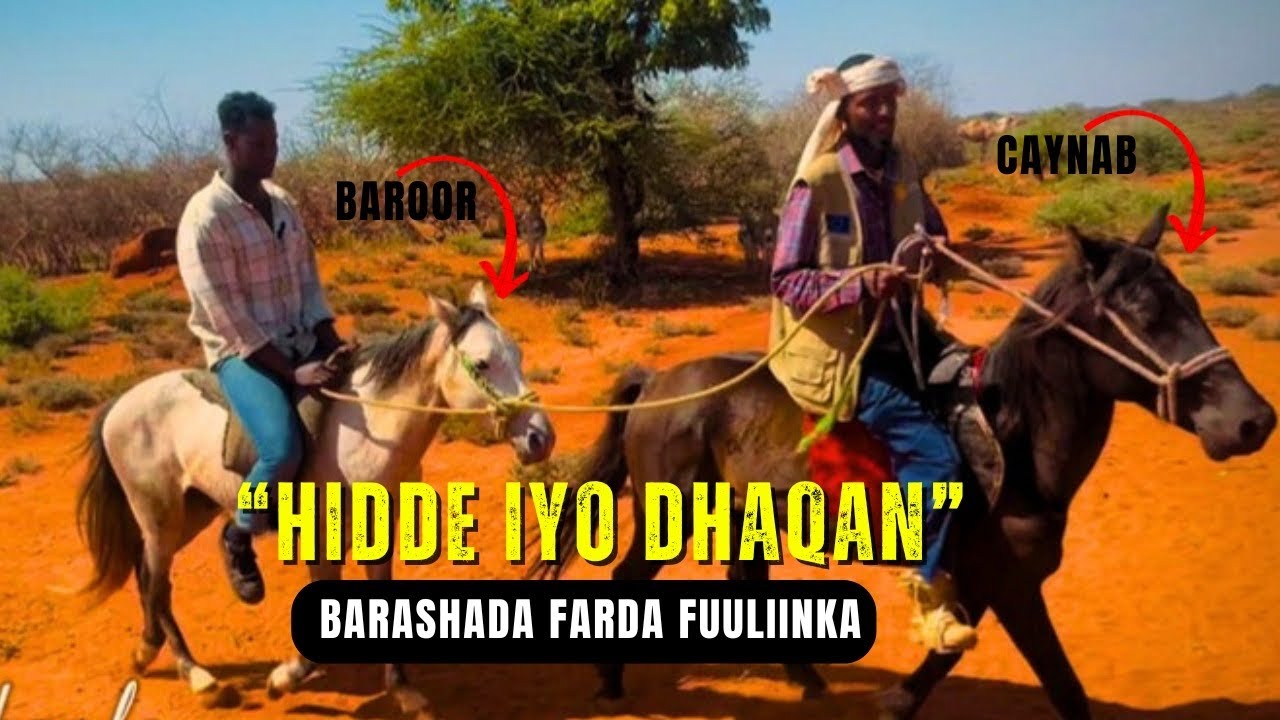 NIN FARDOOLEY AH OO INA BARAYA FARDA FUULKA SIDOO KALE KA WARAMAYA DHIB LOO GEYSTEY.