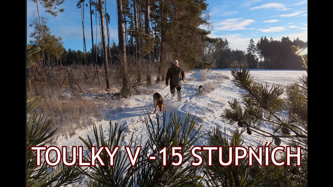 Mrazivé toulání přírodou v -15 stupních