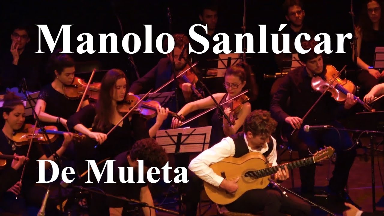 De Muleta (Bulerías) - Manolo Sanlúcar - Frank Verhoef