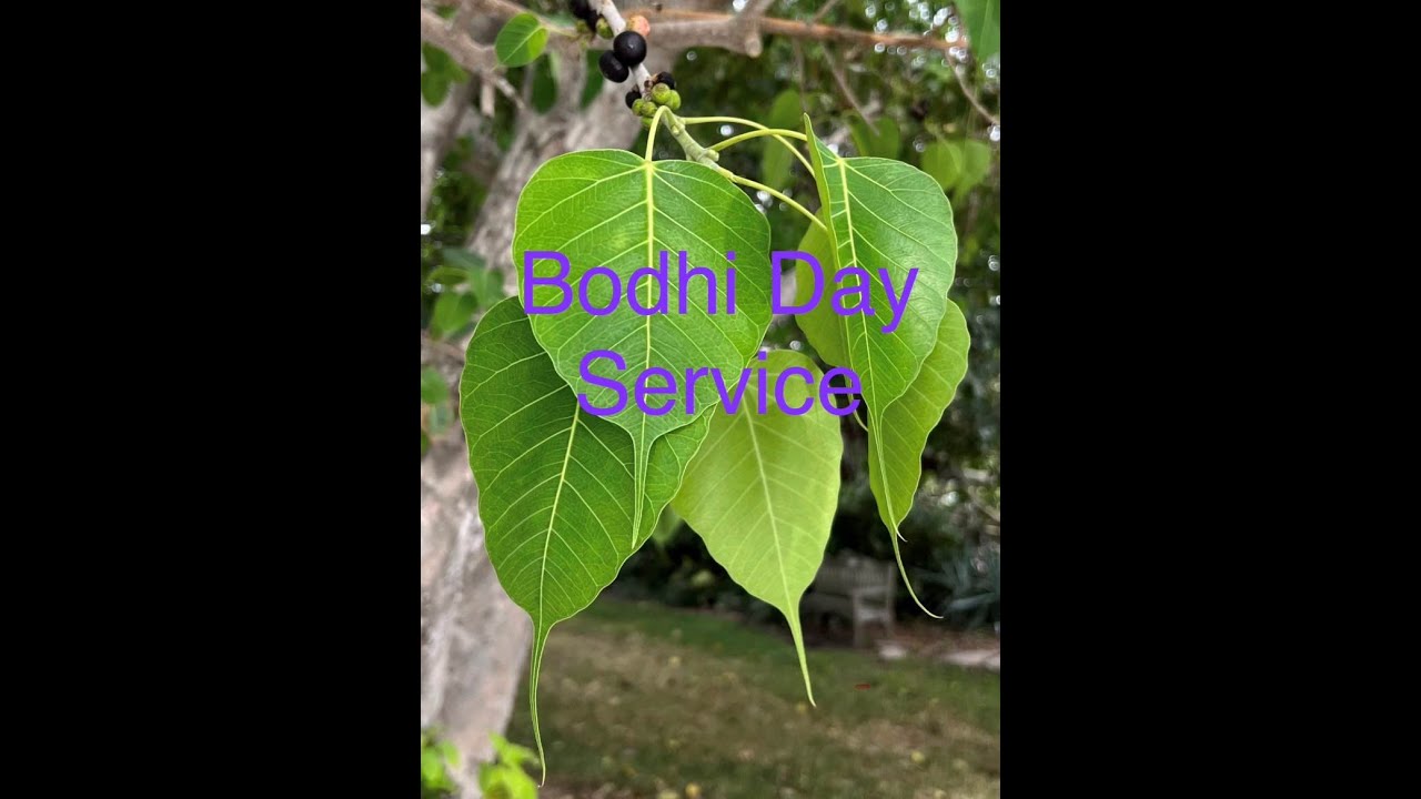 Bodhi Day Service 12-07-2025