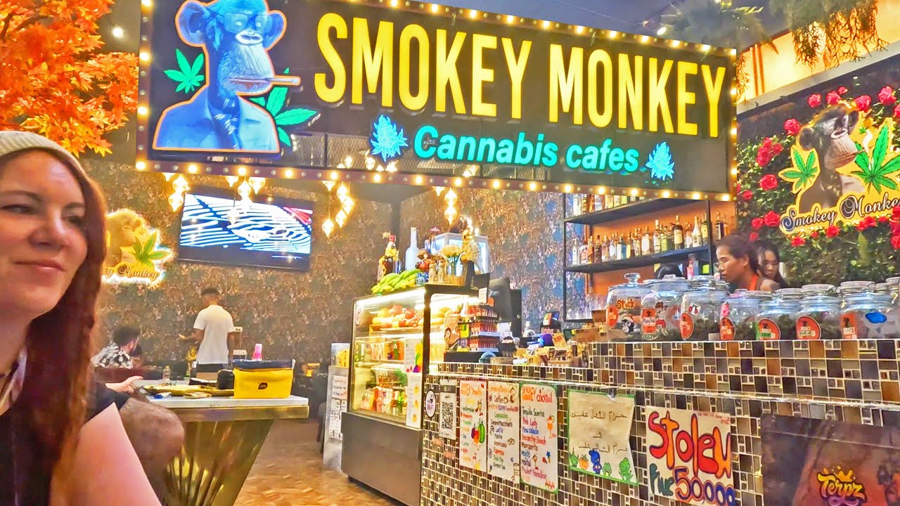 Experience Phuket's Cannabis Shops: Smokey Monkey | Bangla Road Patong