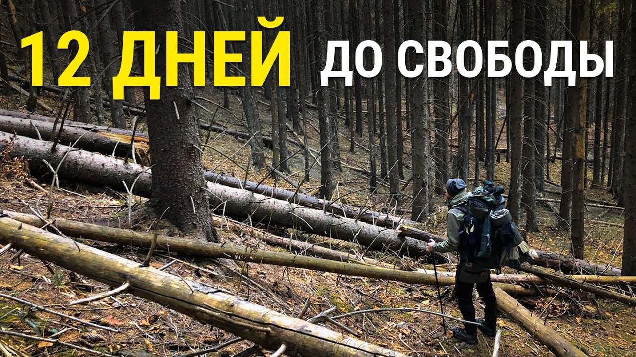 Побег из Украины: Как мы шли 12 ДНЕЙ через горы, чтобы НЕ ПОПАСТЬ в ТЦК? Шокирующая правда!