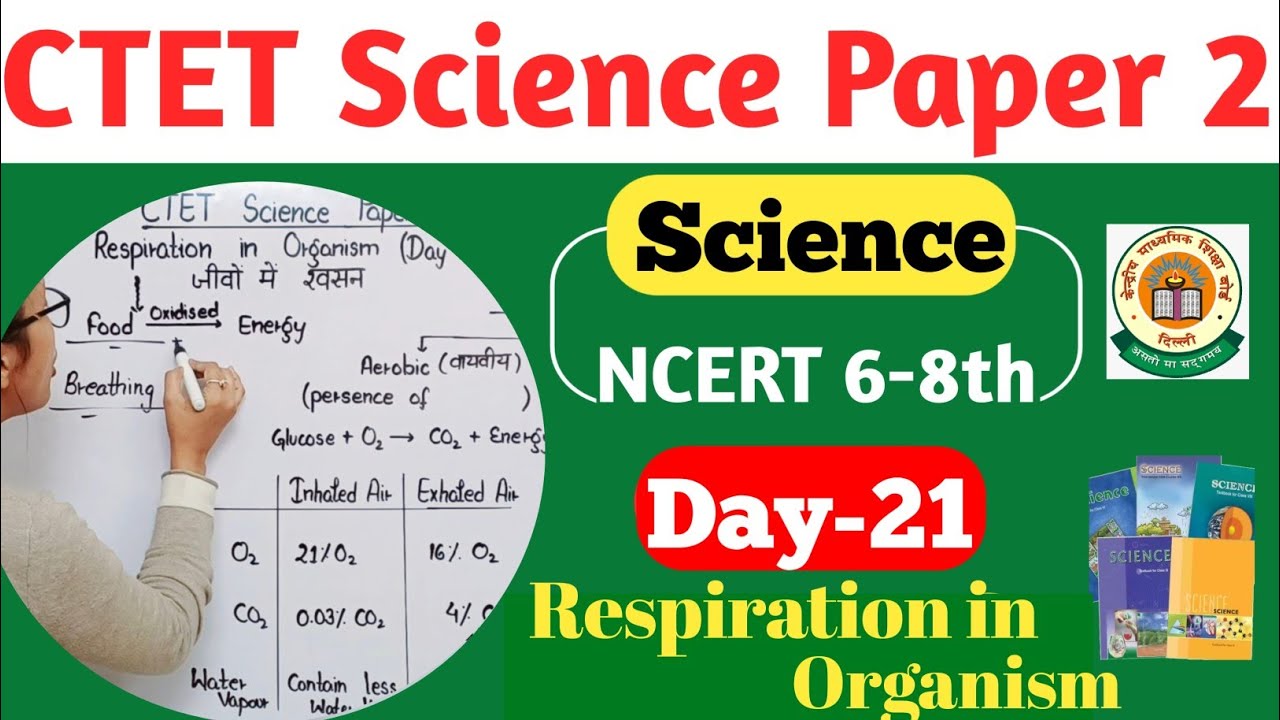 CTET Science Content Paper 2 | CTET Science Paper 2 | CTET Respiration in Organisms | Science CTET |