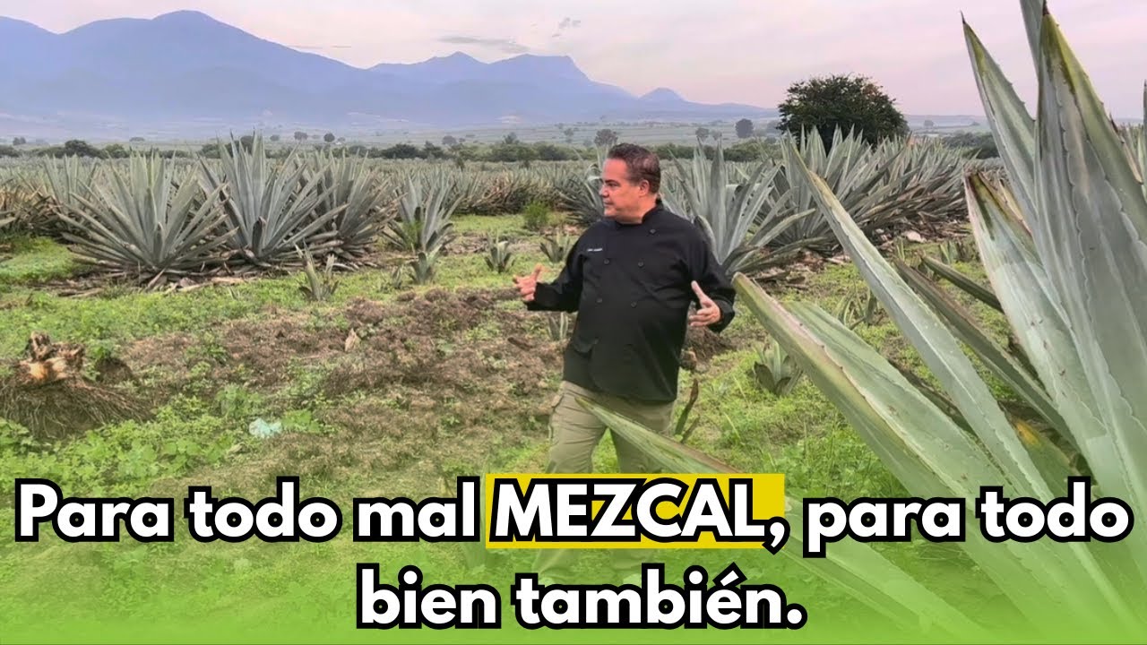 Para todo mal MEZCAL, para todo bien también 🥃🤩