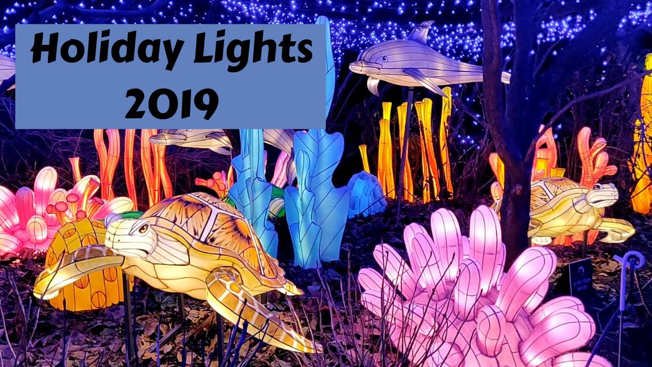 Walk NYC: Bronx Zoo Holiday Lights (Christmas 2019 )