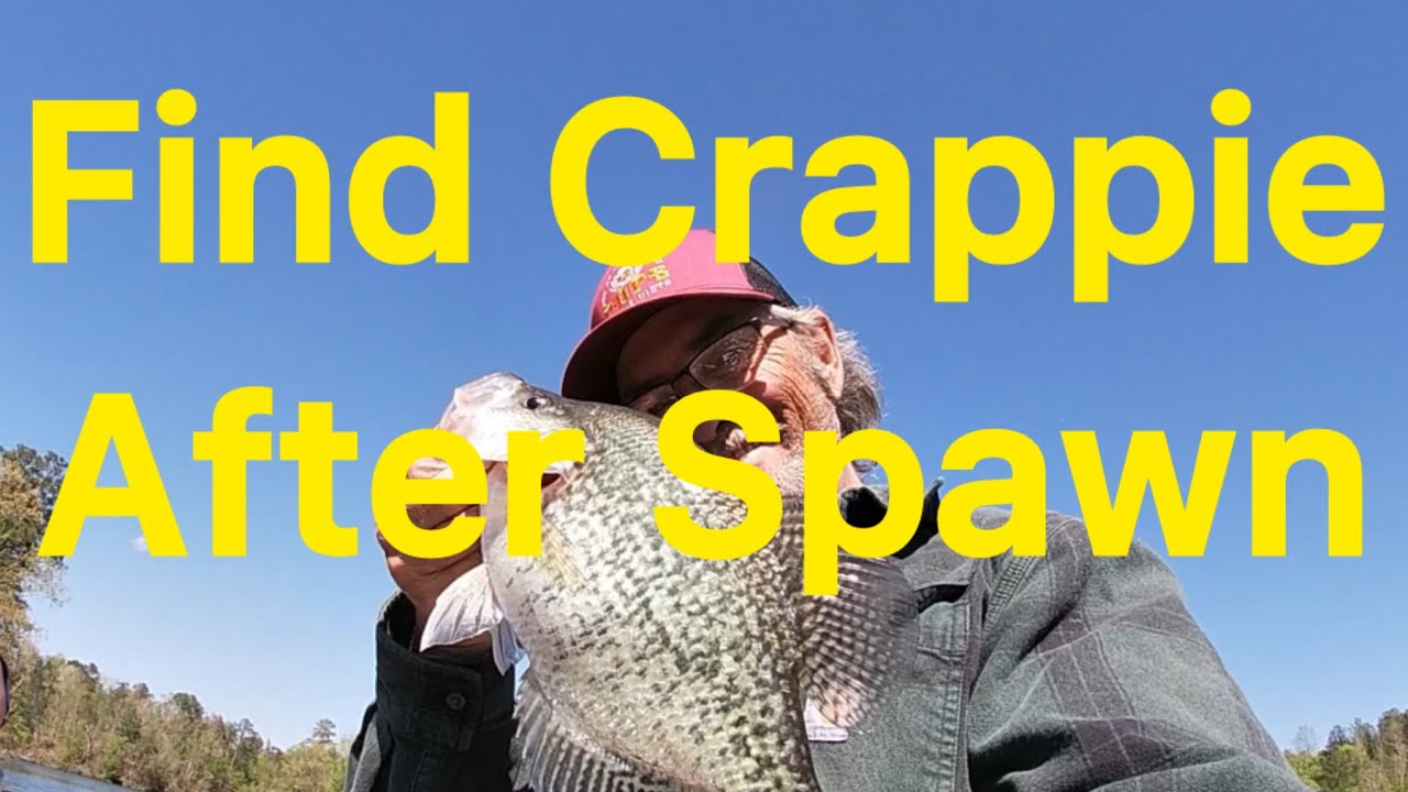 Crappie Fishing with Minnows and Livescope