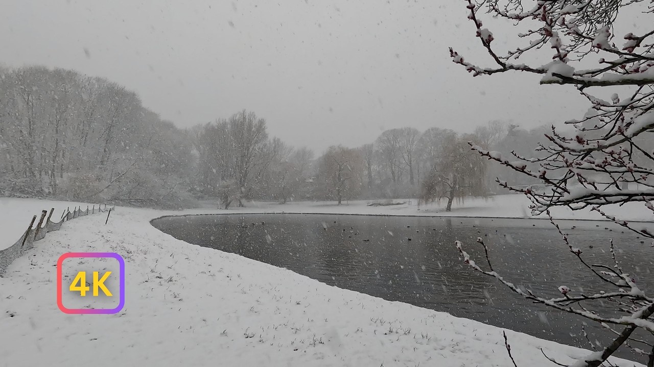 4K Snowy Walk | Winter Snow | Nature & Urban | ASMR | Walk and Snow Footsteps Sound