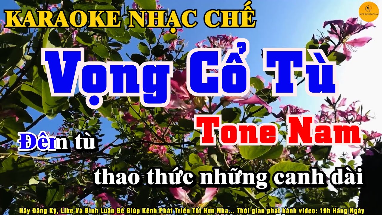 Karaoke Vọng Cổ Tù Tone Nam - Nhạc Chế Vọng Cổ Buồn - Thuận Sắc Màu