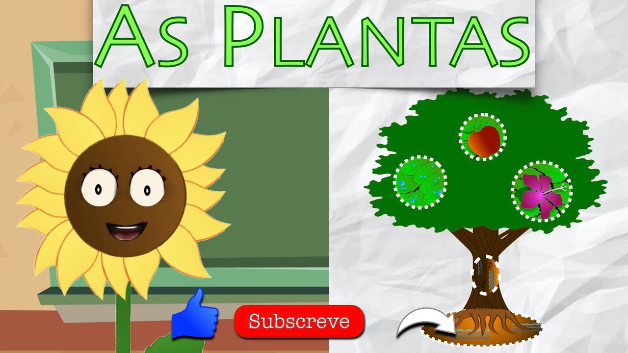 Vamos Aprender...As Plantas (Aula Estudo do Meio de 1&ordm; Ciclo, em Portugu&ecirc;s de Portugal)