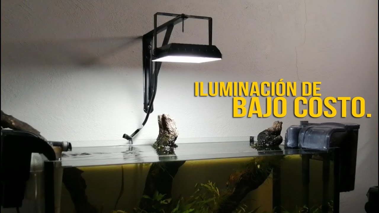 Iluminaci&oacute;n Para Acuarios