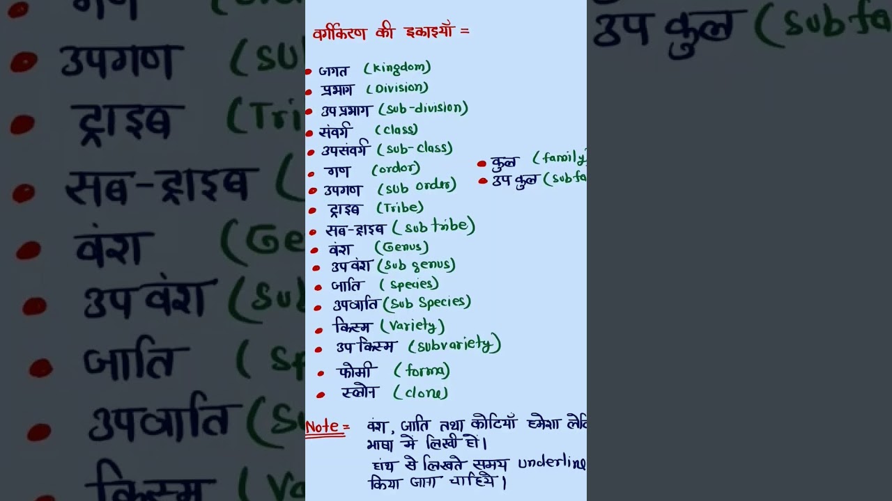 cet study