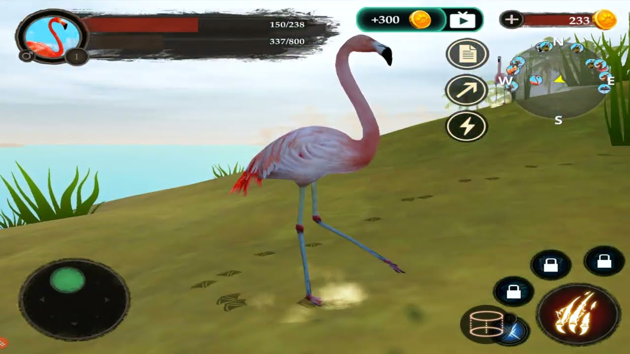 🦩 Flamingo Simulator The Story of The Beautiful Bird By Wild Life Part 1