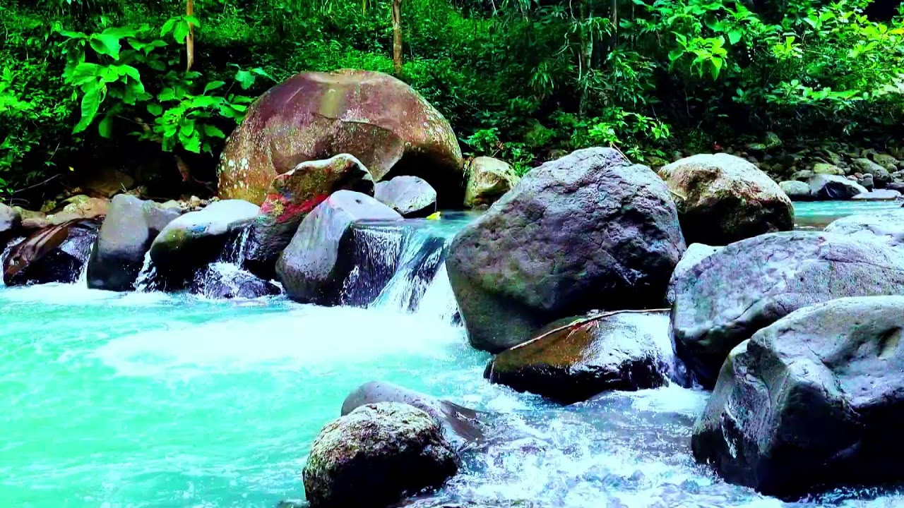 Gentle River Stream with Chirping Birds ASMR: Natural Relaxation for Sleep Yoga & Study