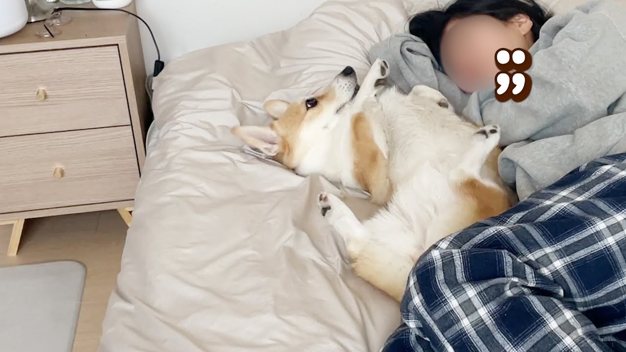 낮잠은 혼자 자세요...제발