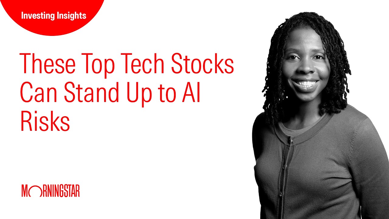 These Top Tech Stocks Can Stand Up to AI Risks