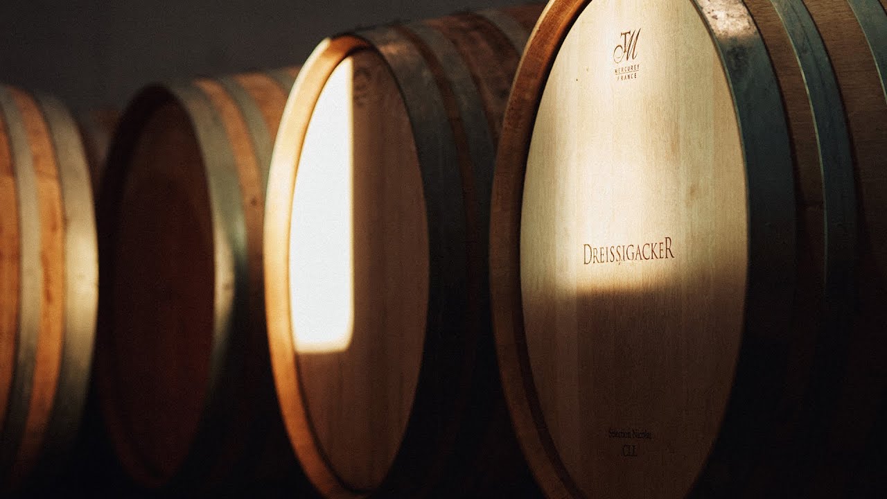 Warum Holz? | Die Rolle von Holz im Weinausbau bei Dreissigacker