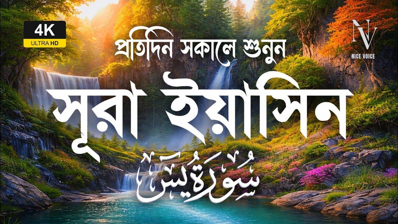 সকালটা শুরু হোক সূরা ইয়াসিন দিয়ে | Surah Yaseen Morning Tilawat | Alaa Aqel | Nice Voice